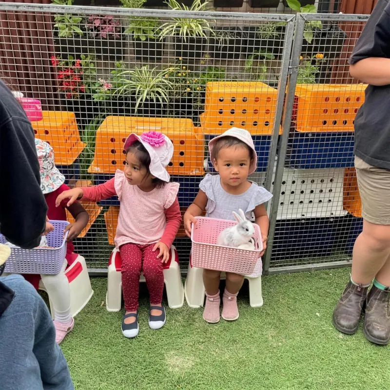 Children meeting a rabbit during an animal incursion